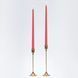 Coral Rose Dinner Candle Set, 35 cm