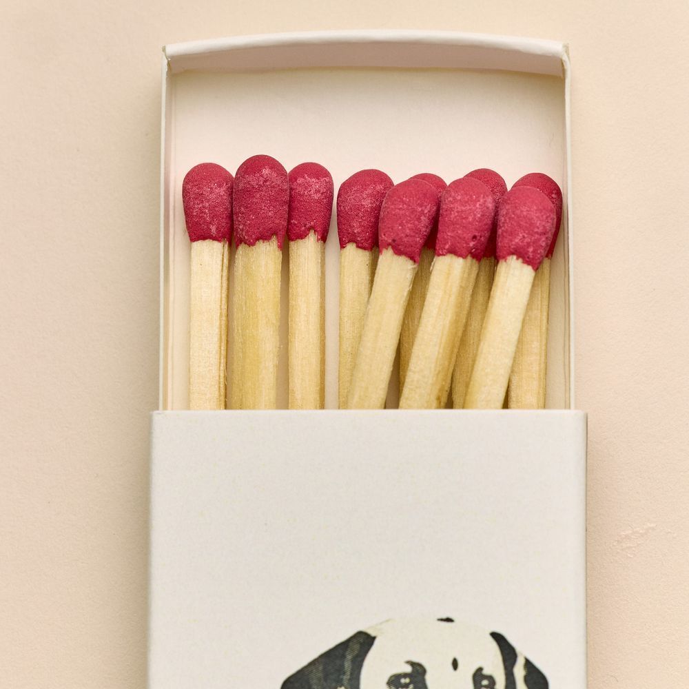 DALMATIAN Signature Matches