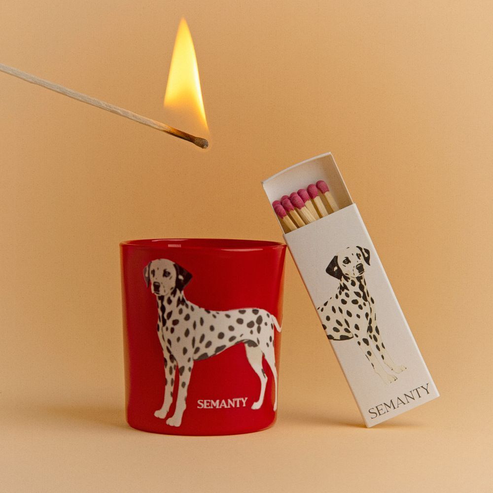 DALMATIAN Signature Matches